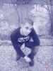thenext77